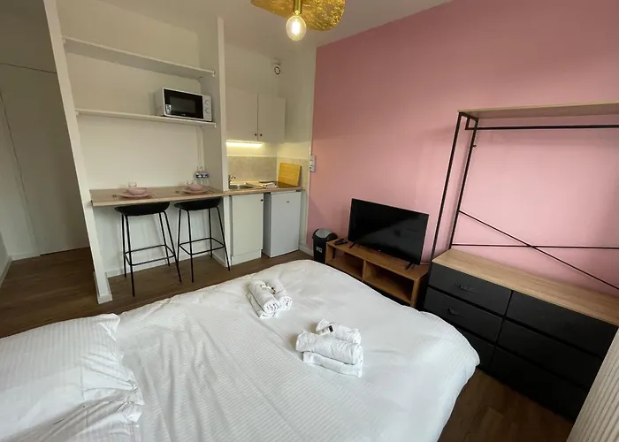 Roza, Studio Proche Centre Ville
